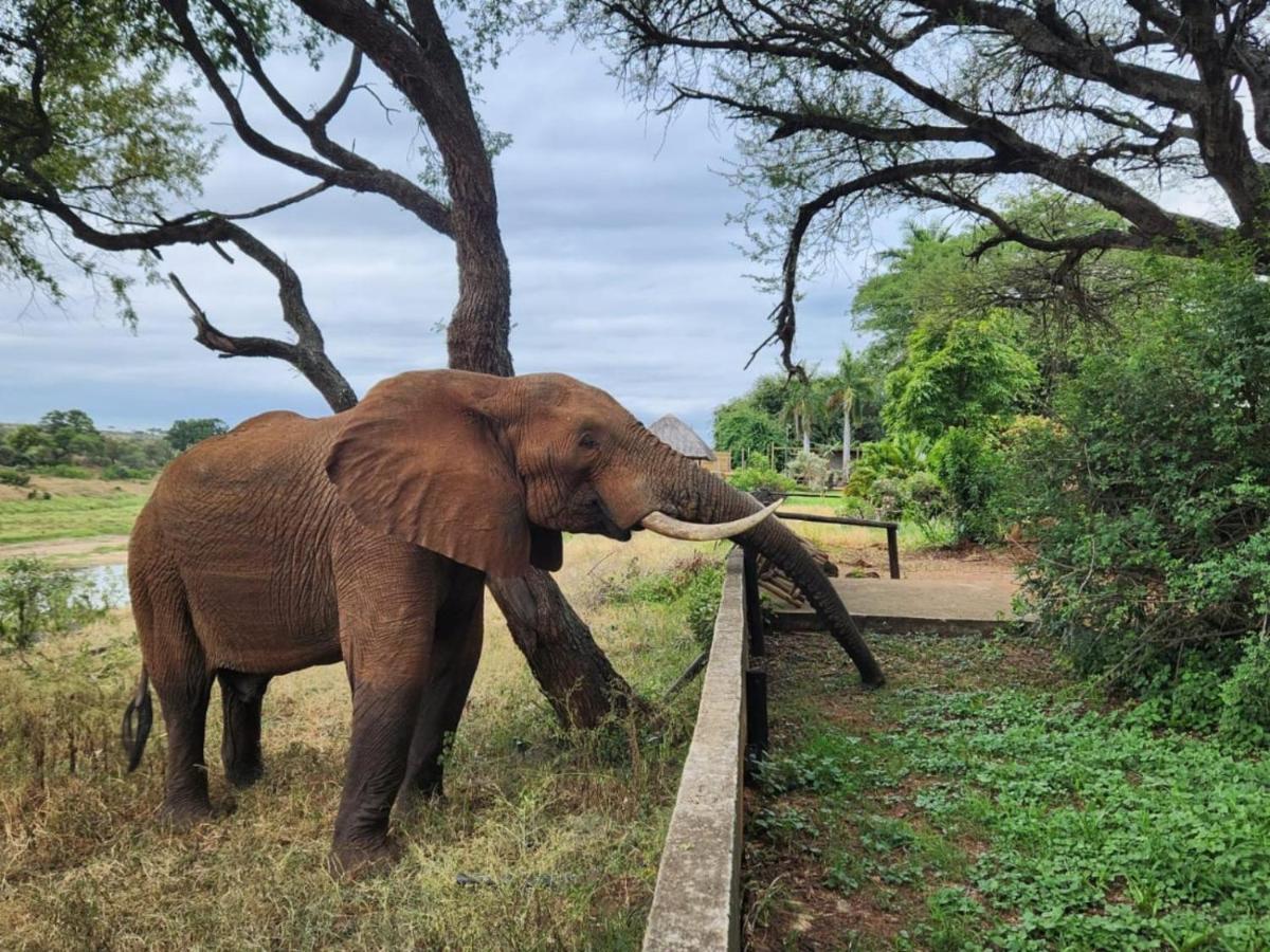 River Cottage Lodge Malalane Bagian luar foto