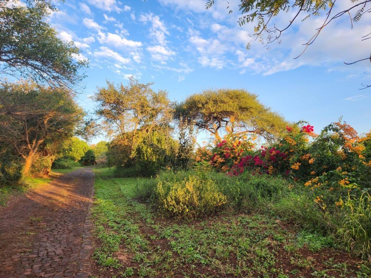 River Cottage Lodge Malalane Bagian luar foto
